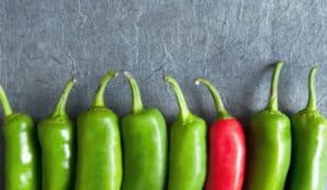 One chili is red in a line of green chilis