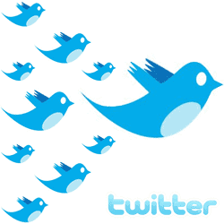 the word twitter and several blue birds similar to the twitter logo