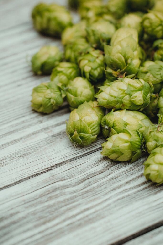 Hops sitting on a gray wood table