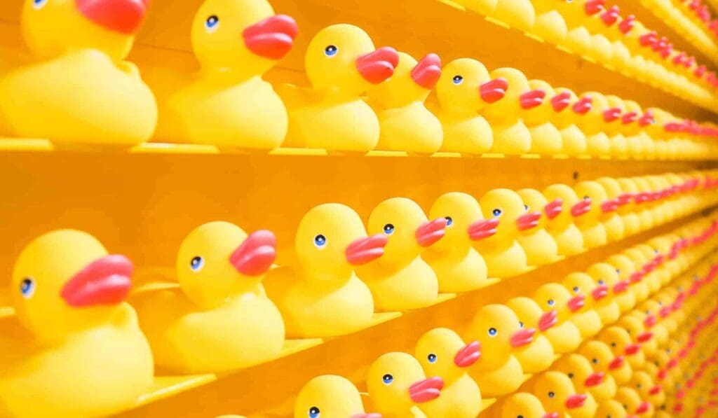 multiple rows of yellow rubber duckies