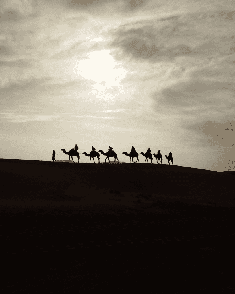 Man leading a camel trek