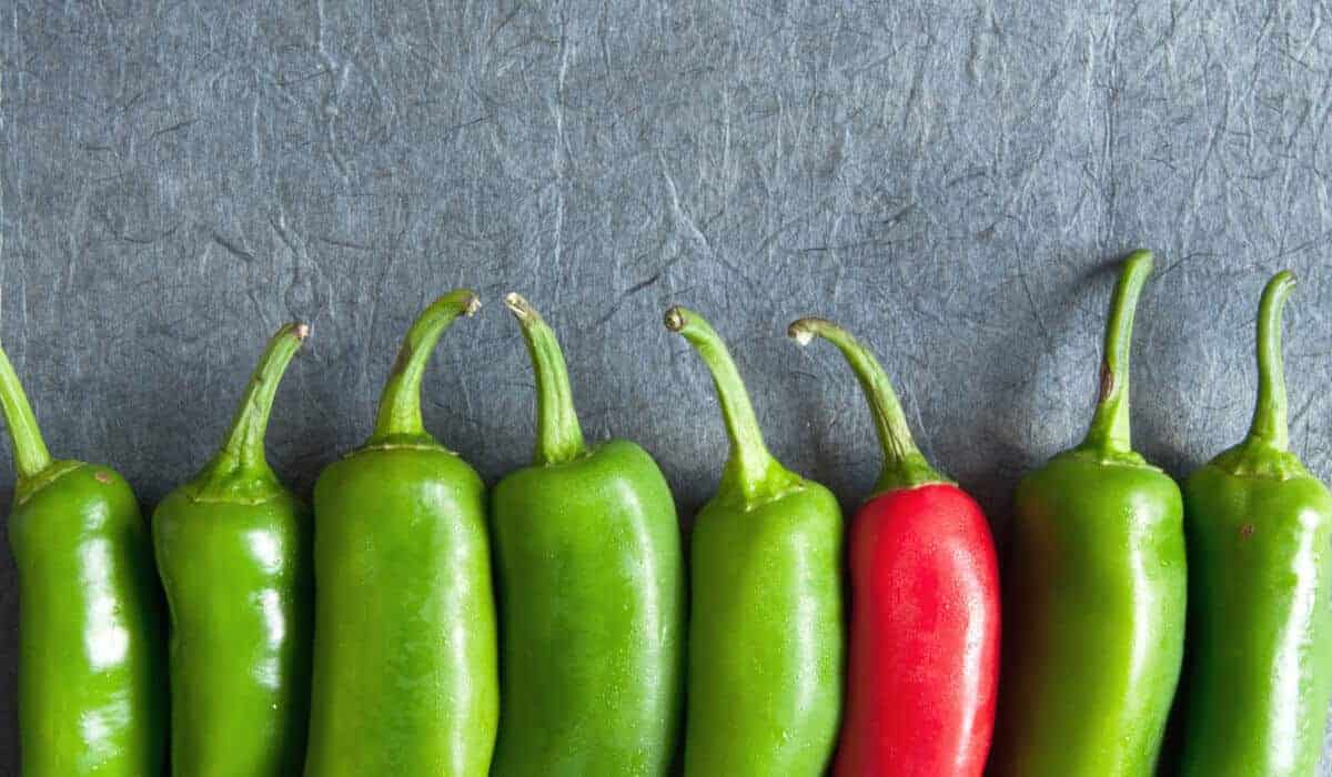One chili is red in a line of green chilis