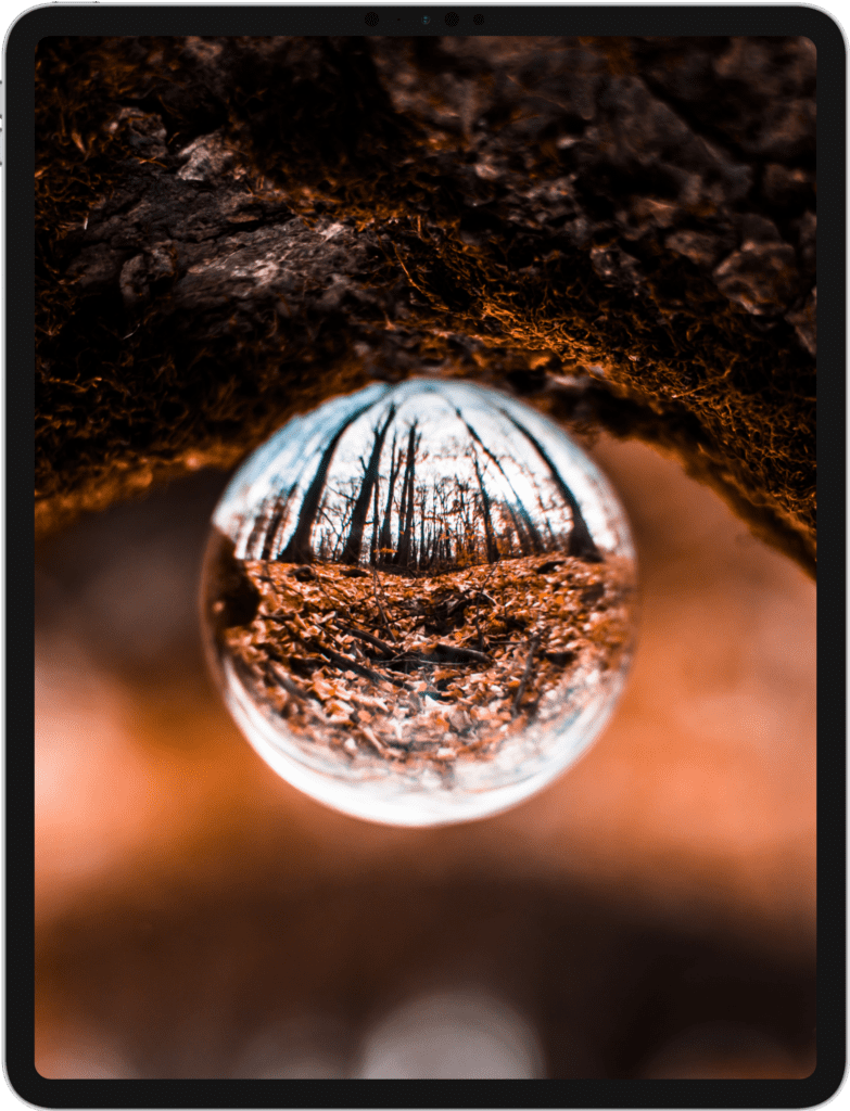 iPad Pro screen showing an image of the woods reflected in a water droplet