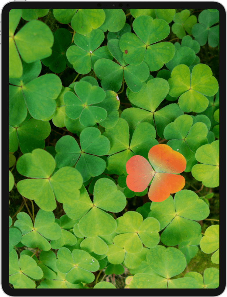 Image of an iPad Pro with a clover wallpaper