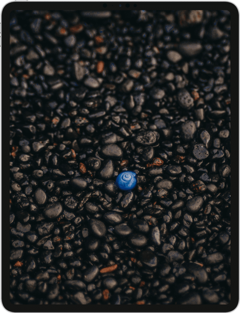 iPad Pro screen featuring a blue shell surrounded by black stones