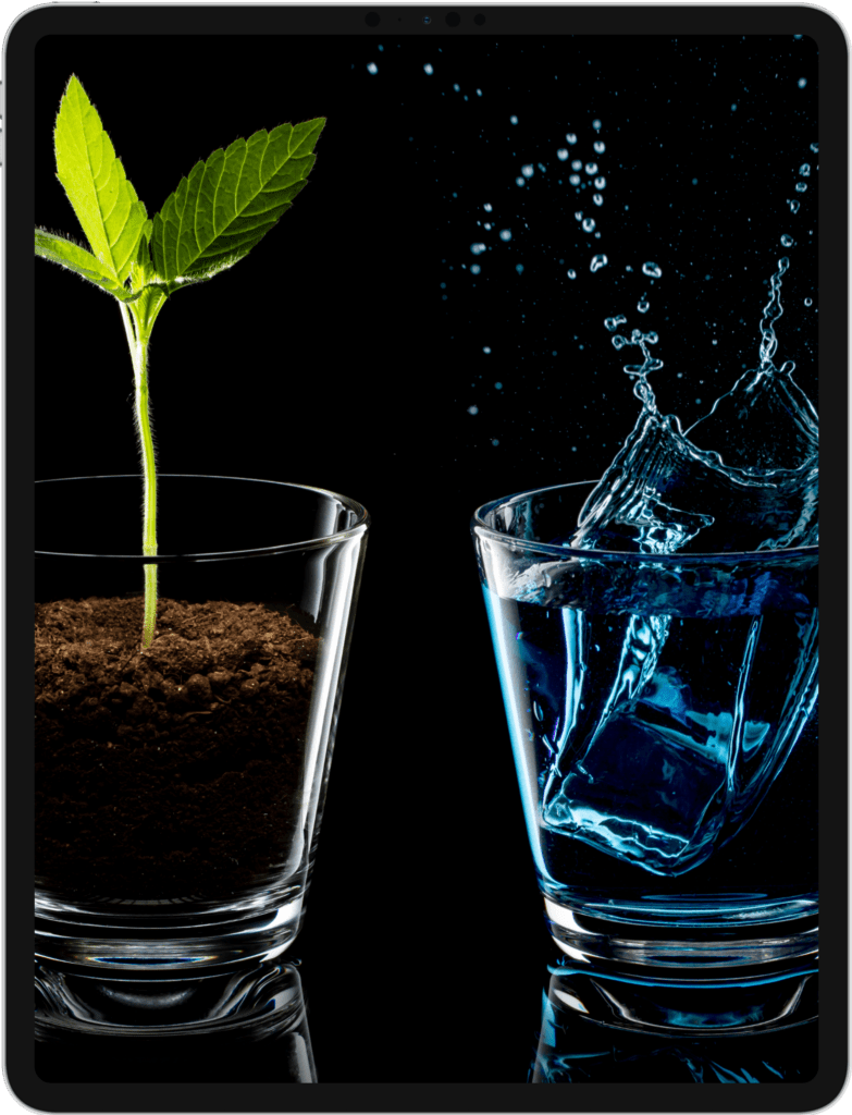 iPad Pro screen featuring two glasses, one with dirt and a sprout, the other splashing water